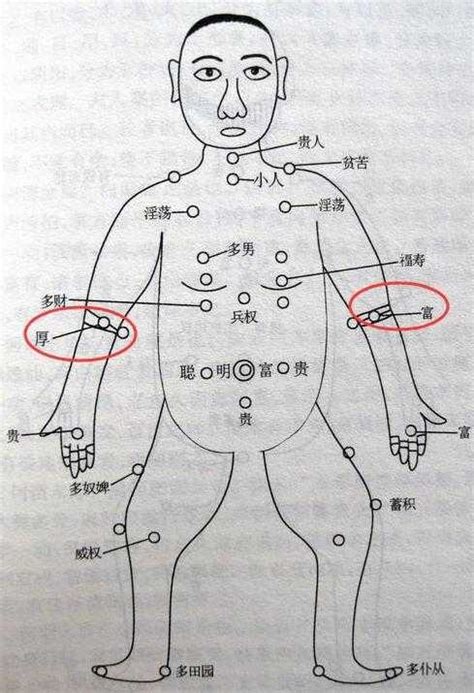 左手臂內側有痣|手臂痣圖解